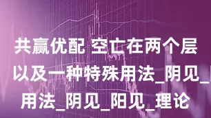 共赢优配 空亡在两个层面的争议，以及一种特殊用法_阴见_阳见_理论