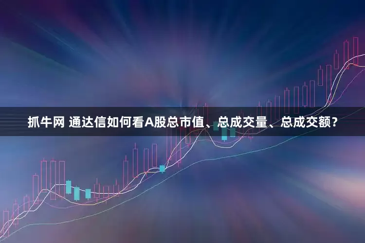 抓牛网 通达信如何看A股总市值、总成交量、总成交额？